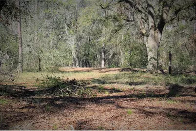 Cr 772B, Webster, FL 33597 - Photo 22