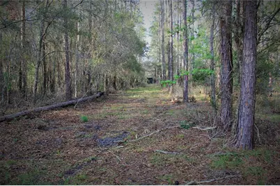 Cr 772B, Webster, FL 33597 - Photo 4