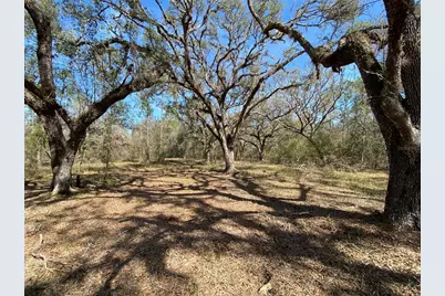 Cr 772B, Webster, FL 33597 - Photo 16