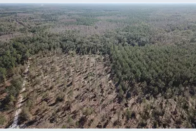 Cr 772B, Webster, FL 33597 - Photo 26