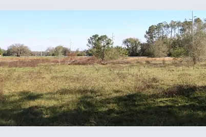 Cr 48, Bushnell, FL 33513 - Photo 6