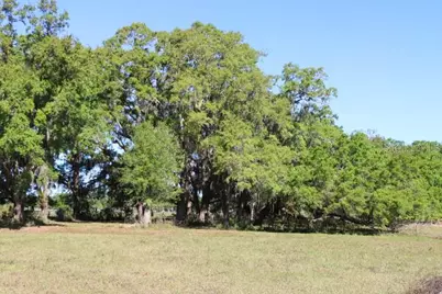 Cr 48, Bushnell, FL 33513 - Photo 2