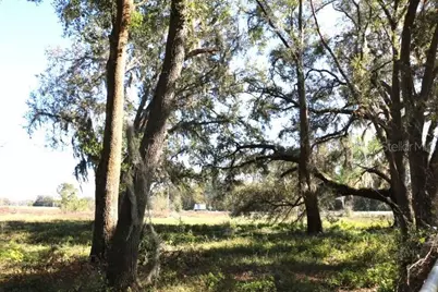 Cr 48, Bushnell, FL 33513 - Photo 14
