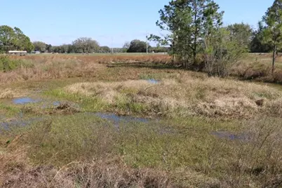 Cr 48, Bushnell, FL 33513 - Photo 12