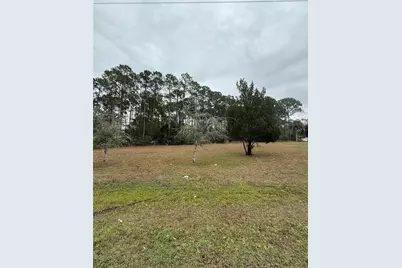 245 Ullian Trail, Palm Coast, FL 32164 - Photo 1