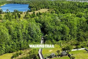 11464 Beau Repost Dr, Orlando, FL 32832 - Photo 48