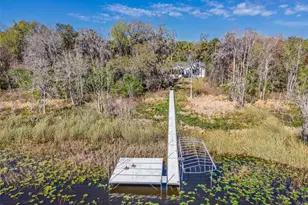 17482 SE 34th Ln, Ocklawaha, FL 32179 - Photo 4