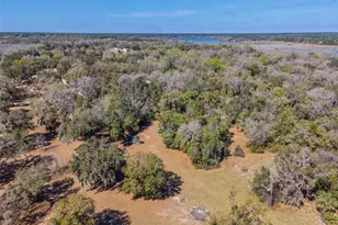 17482 SE 34th Ln, Ocklawaha, FL 32179 - Photo 12