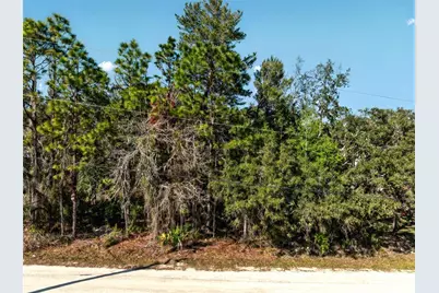 9003 Glenarm Way, Weeki Wachee, FL 34613 - Photo 4
