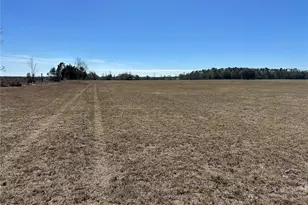 13220 225th Rd, Live Oak, FL 32060 - Photo 28