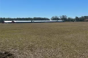 13220 225th Rd, Live Oak, FL 32060 - Photo 26