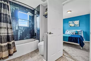 2933 White Cedar Cir, Kissimmee, FL 34741 - Photo 28