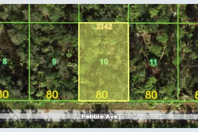 13382 Pebble Avenue, Port Charlotte, FL 33953 - Photo 1