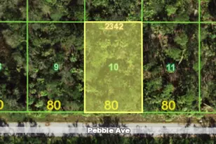 13382 Pebble Ave, Port Charlotte, FL 33953 - Photo 1