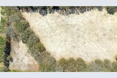 4649 Meadowland Drive, Mount Dora, FL 32757 - Photo 2