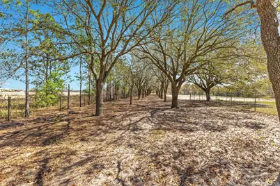 4649 Meadowland Drive, Mount Dora, FL 32757 - Photo 4