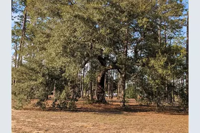 3808 San Gabriel Drive, Pensacola, FL 32504 - Photo 64