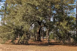 3808 San Gabriel Dr, Pensacola, FL 32504 - Photo 64