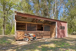 19474 NW 215th Terrace, High Springs, FL 32643 - Photo 8