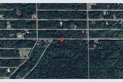 817 Paradise Boulevard, Georgetown, FL 32139 - Photo 2