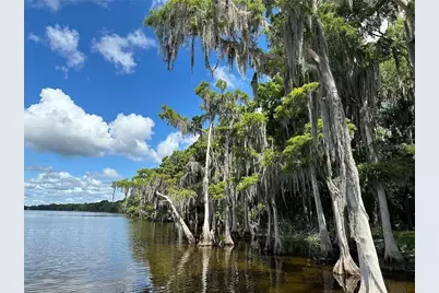 817 Paradise Boulevard, Georgetown, FL 32139 - Photo 8