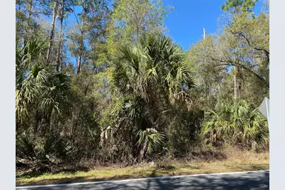 2519 W Plumtree Lane, Dunnellon, FL 34433 - Photo 2