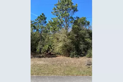 8630 N Catapane Loop, Crystal River, FL 34428 - Photo 2