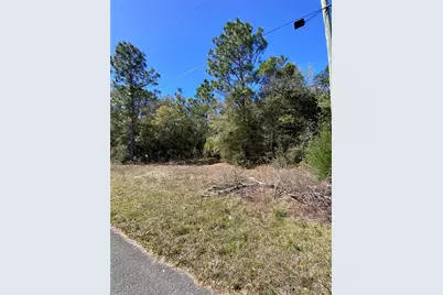 8630 N Catapane Loop, Crystal River, FL 34428 - Photo 1