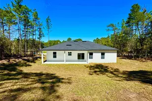 7947 N Primrose Dr, Citrus Springs, FL 34434 - Photo 6