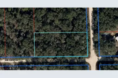 [Address not provided], Bronson, FL 32621 - Photo 1