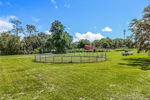 41204 Emeralda Island Rd, Leesburg, FL 34788 - Photo 44