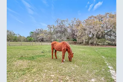 41204 Emeralda Island Road, Leesburg, FL 34788 - Photo 34