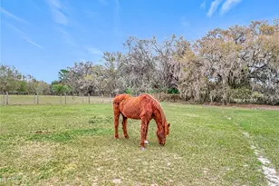 41204 Emeralda Island Rd, Leesburg, FL 34788 - Photo 34