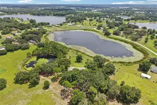 40610 Babb Rd, Umatilla, FL 32784 - Photo 40