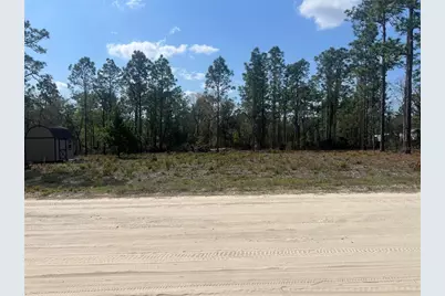 Ne 12th St, Williston, FL 32696 - Photo 1