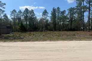 NE 12th St, Williston, FL 32696 - Photo 1