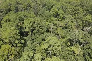 Salyers Rd, Clermont, FL 34714 - Photo 1