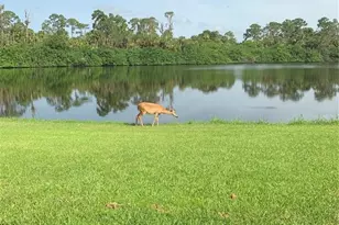 372 Rest Haven Rd, Geneva, FL 32732 - Photo 60