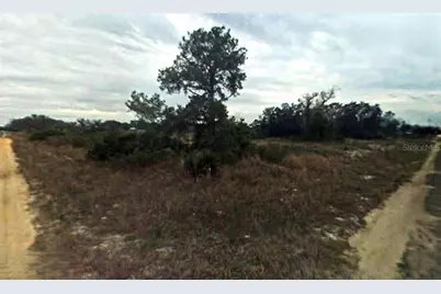 2885 W Ingersol Road, Avon Park, FL 33825 - Photo 2