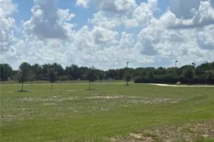 11926 Verrazano Dr, Orlando, FL 32836 - Photo 44