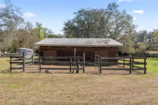 3634 Apfel Rd, Wesley Chapel, FL 33543 - Photo 32
