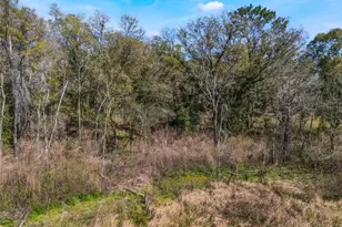 2208 Eisenhower St, Inverness, FL 34453 - Photo 1