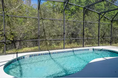 4561 Cabello Loop, Kissimmee, FL 34746 - Photo 52