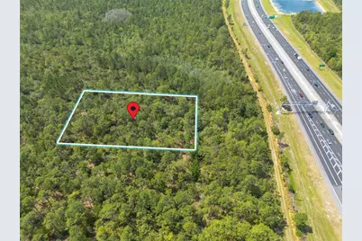 Sr-535, Orlando, FL 32821 - Photo 4