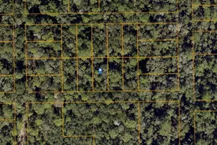 Hamilton Ave, Orange City, FL 32763 - Photo 1