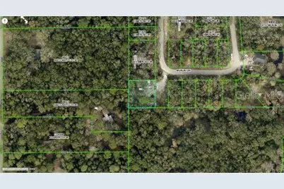 4809 Merlin Circle, Ridge Manor, FL 33523 - Photo 4