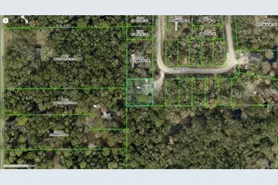 4809 Merlin Circle, Ridge Manor, FL 33523 - Photo 6