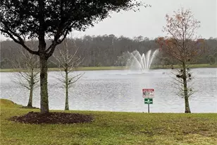 8521 Vedder Ln, Orlando, FL 32832 - Photo 10