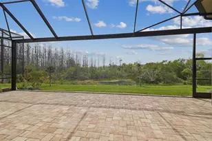 2709 Coco Palm Cir, Wesley Chapel, FL 33543 - Photo 82