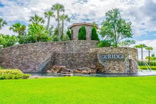 2709 Coco Palm Cir, Wesley Chapel, FL 33543 - Photo 94